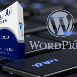 السعودية قد تفقد كل احتياطاتها النقدية بأقل من 5 سنوات